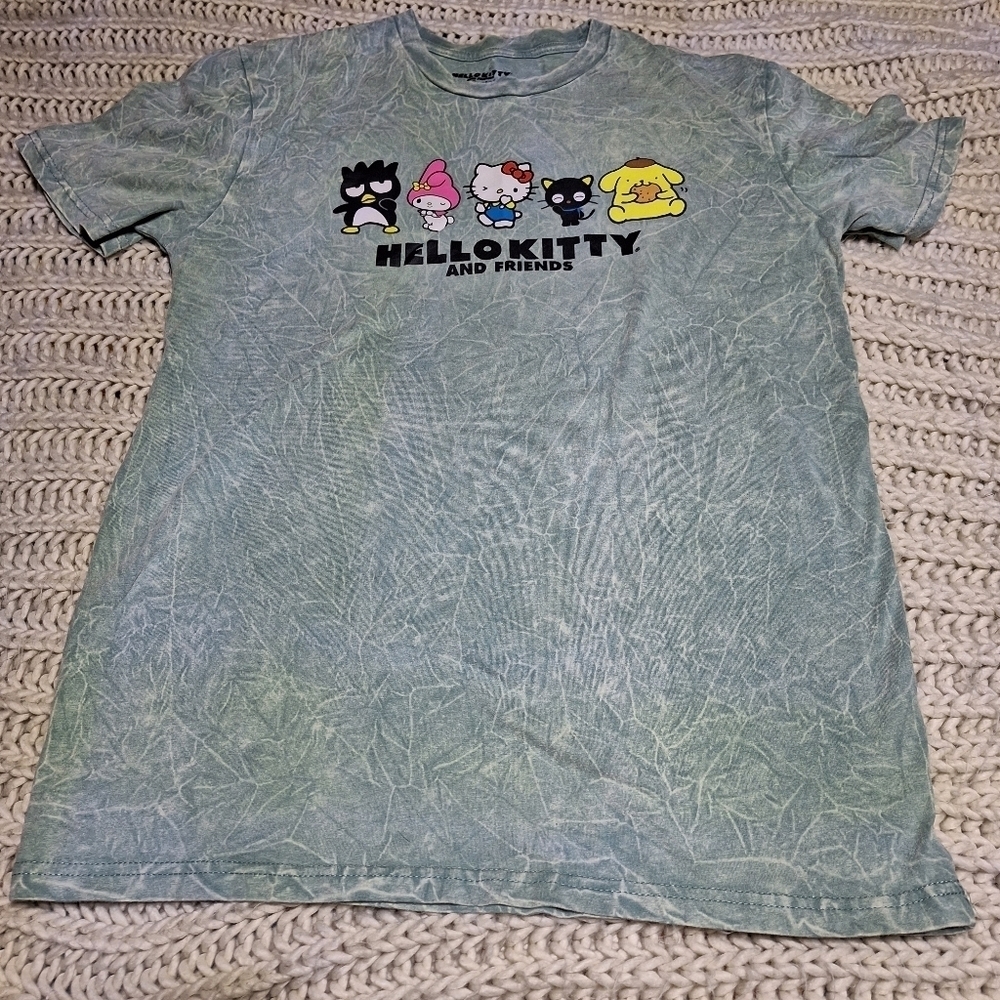 A Hello Kitty and friends T-shirt.Its a womens small.